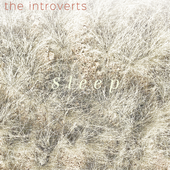 The Introverts - Speak
